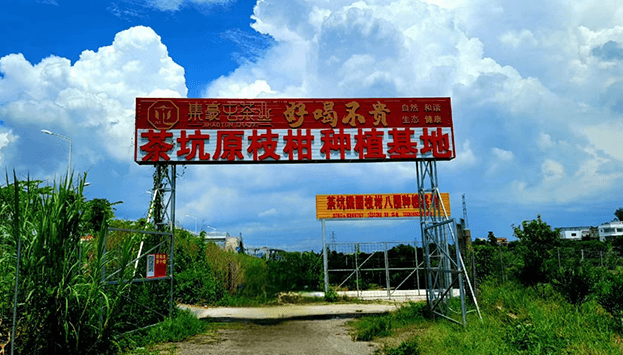 新會(huì)茶葉店加盟