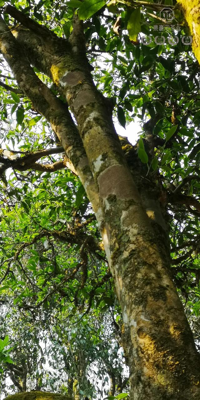 待疫情過去,我第一個想見你