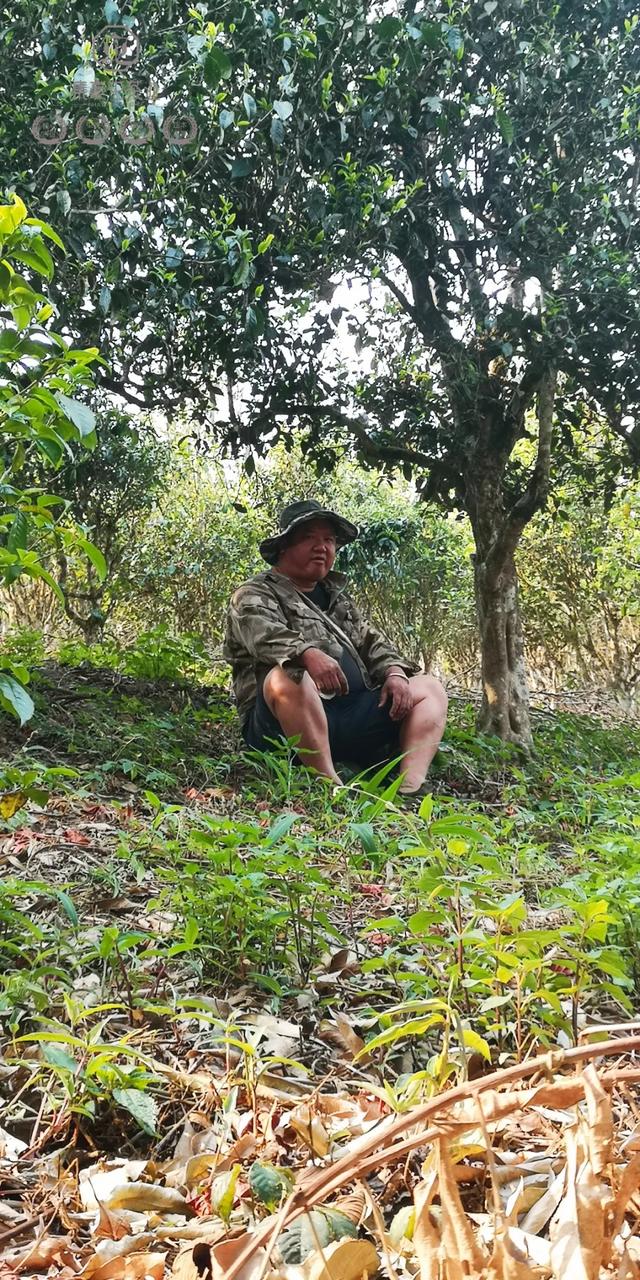 待疫情過去,我第一個想見你