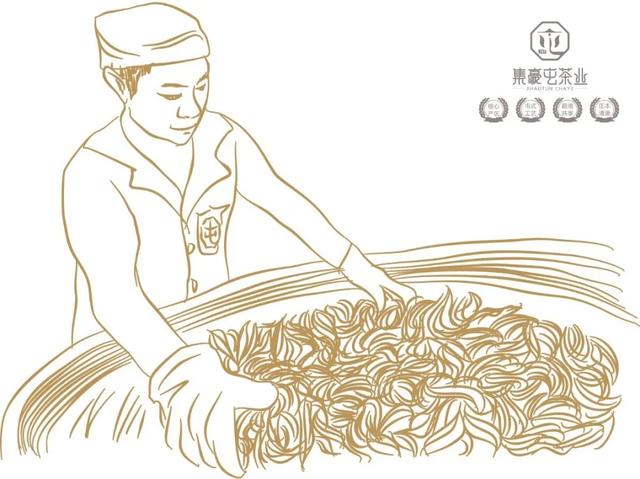 云南人不喝普洱茶？