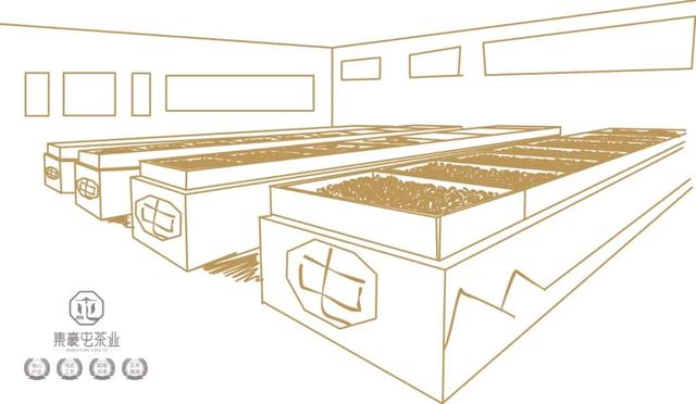 云南人不喝普洱茶？