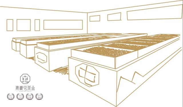 云南人不喝普洱茶？