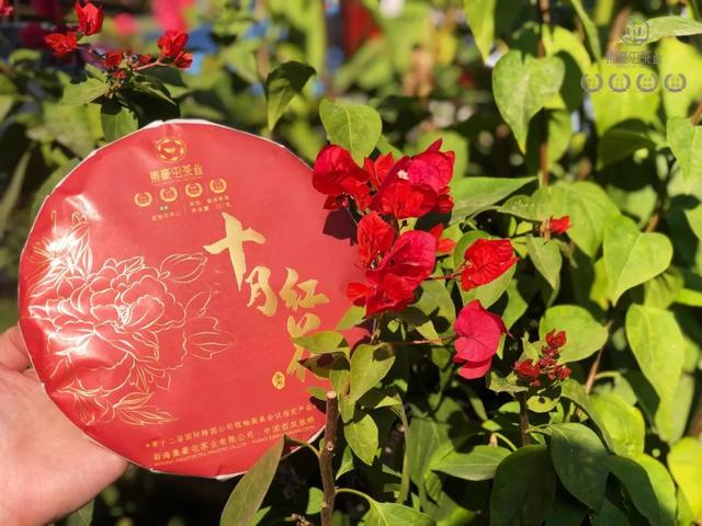 九月奇跡，十月紅花