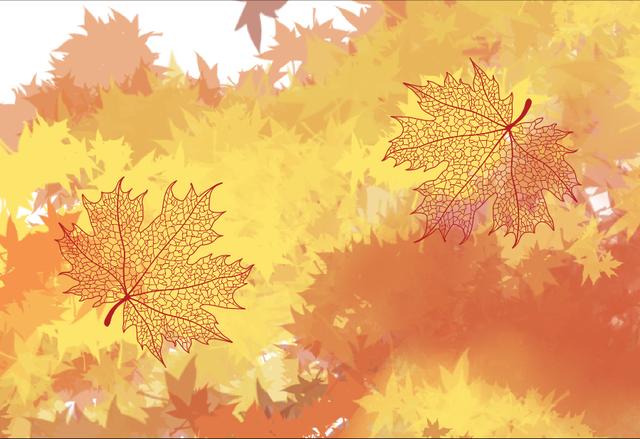 待到寒風吹過時，又是新景象