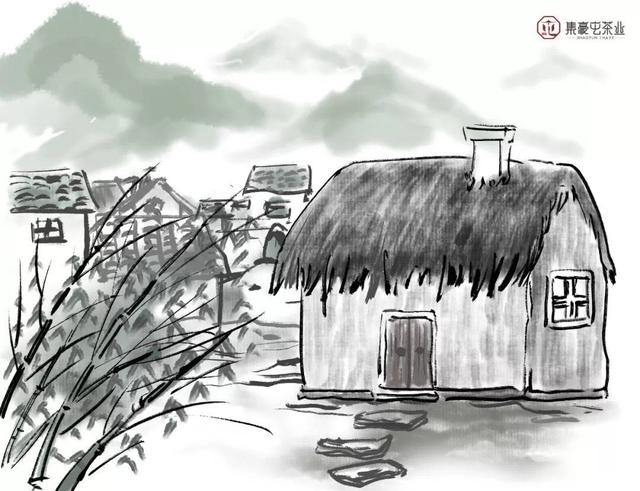 探秘勐海山水,帶著初心的本寨