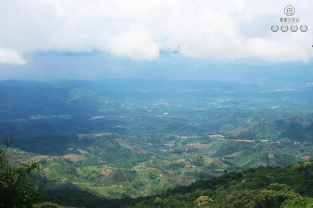 當我站在西雙版納之巔,這是我離云端最近的一次