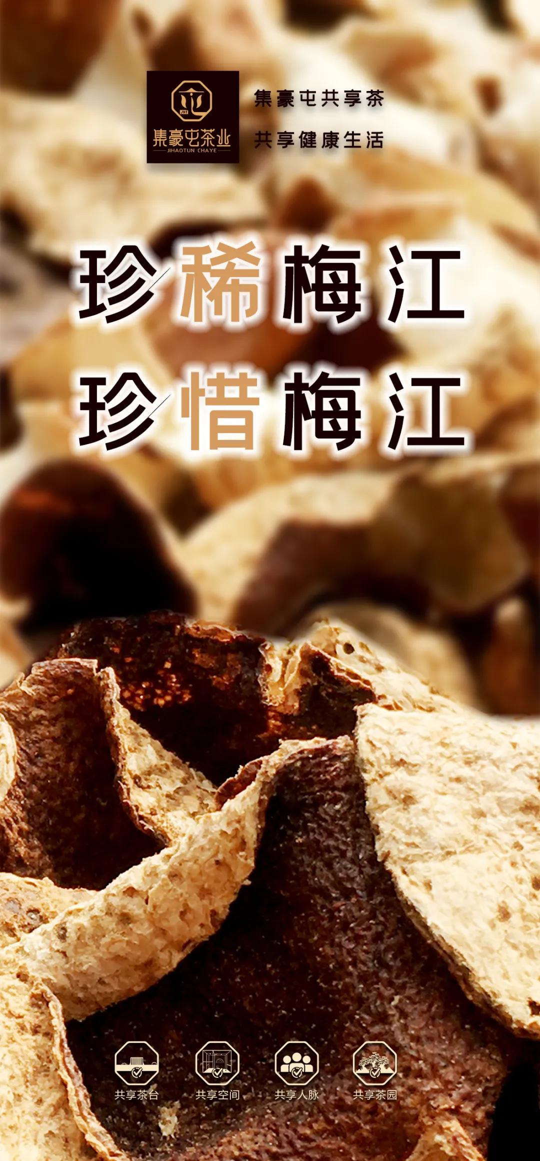 末代梅江陳皮，珍稀且珍惜