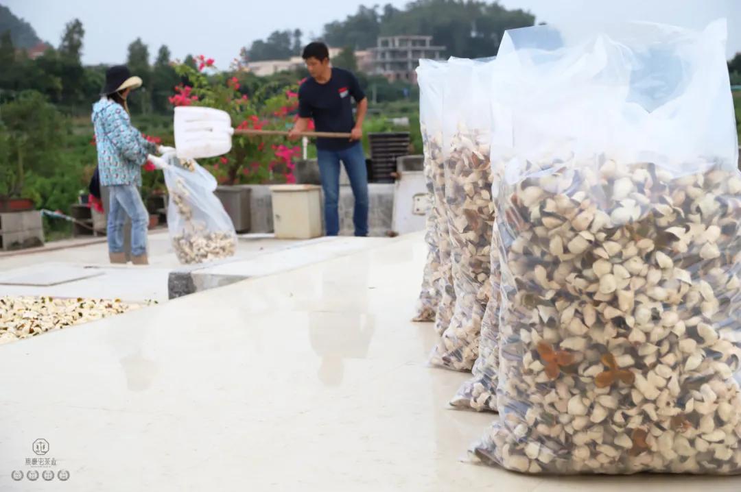 末代梅江陳皮，珍稀且珍惜