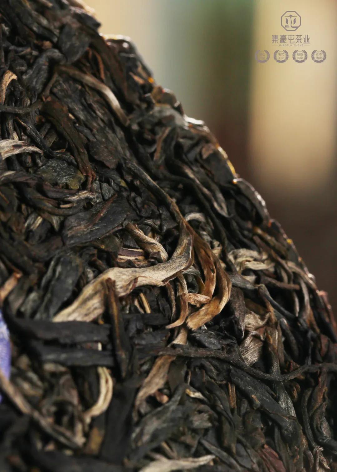 集豪屯·時速，與君共享生活真味