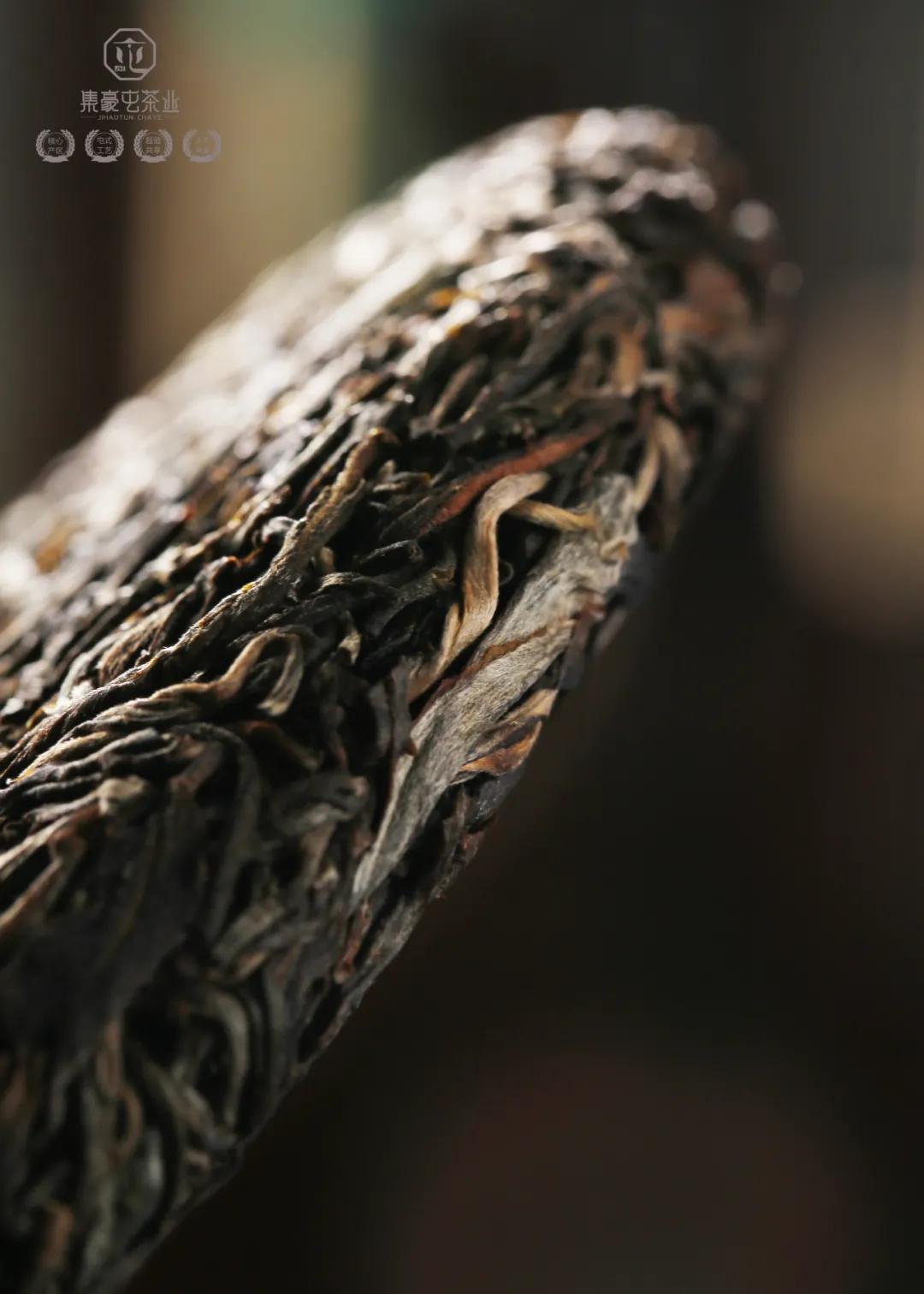 集豪屯·時速，與君共享生活真味